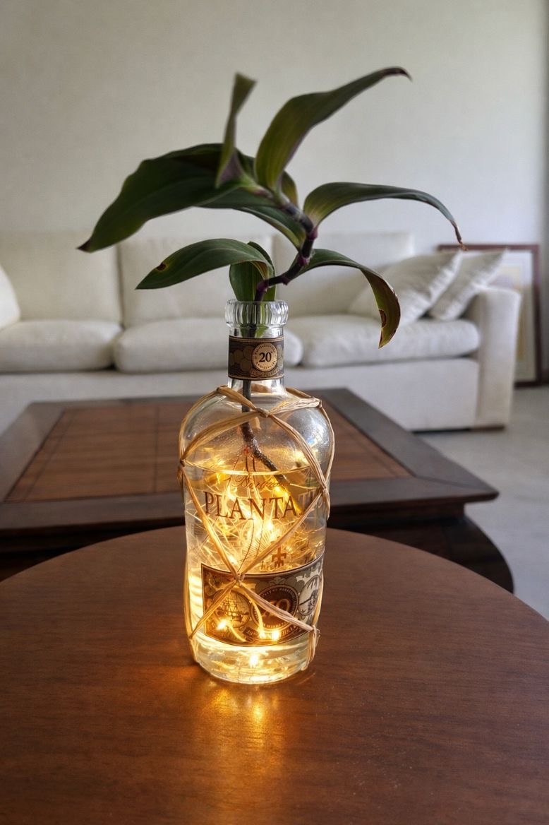 Plant in a wine bottle with ambient LED lighting at the base