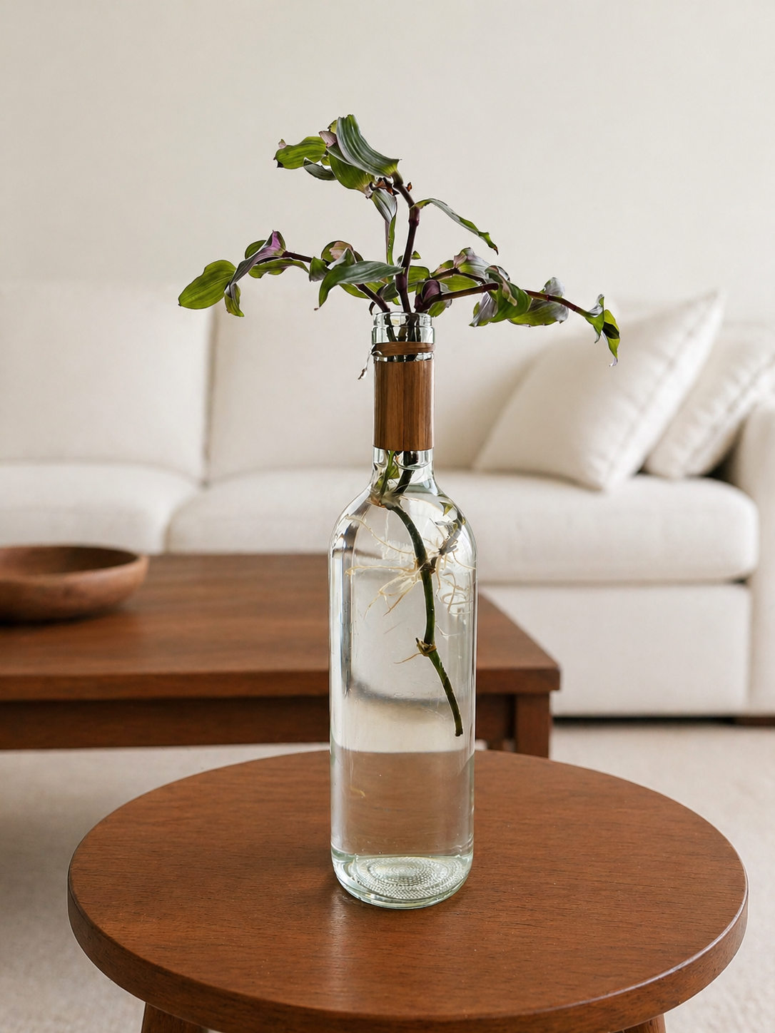 Peace Lily in an Olive Oil Bottle